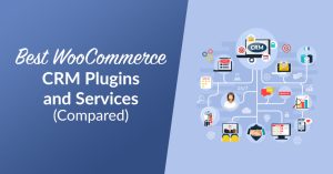 Best WooCommerce CRM Plugins and Services (Compared)
