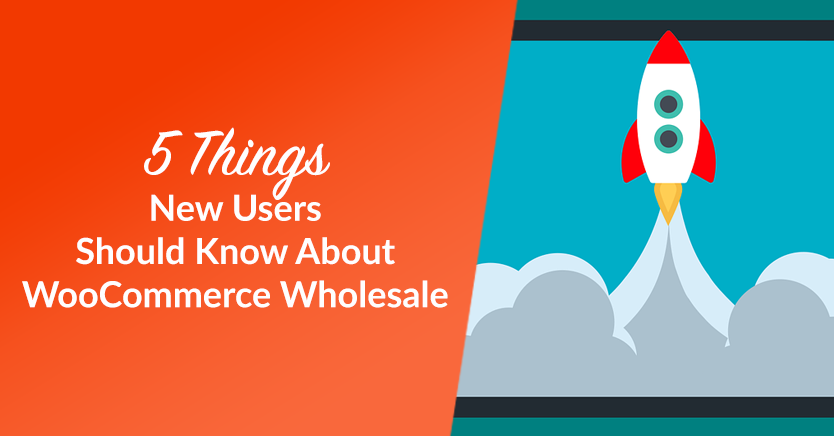 5 things new users should know about woocommerce wholesale