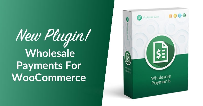 Revolutionize Your Payments: Introducing The New Wholesale Payments Plugin