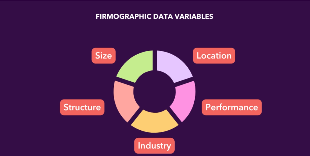 A graphic representation of firmographic data variables like size, location, and industry. 