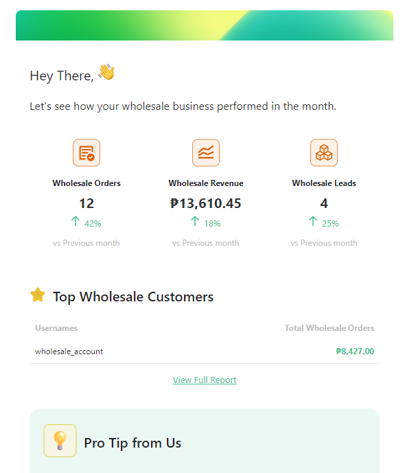 Wholesale Suite monthly update, showing wholesale orders, revenue, leads, and top wholesale customers.