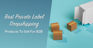 Best Private Label Dropshipping Products To Sell For B2B