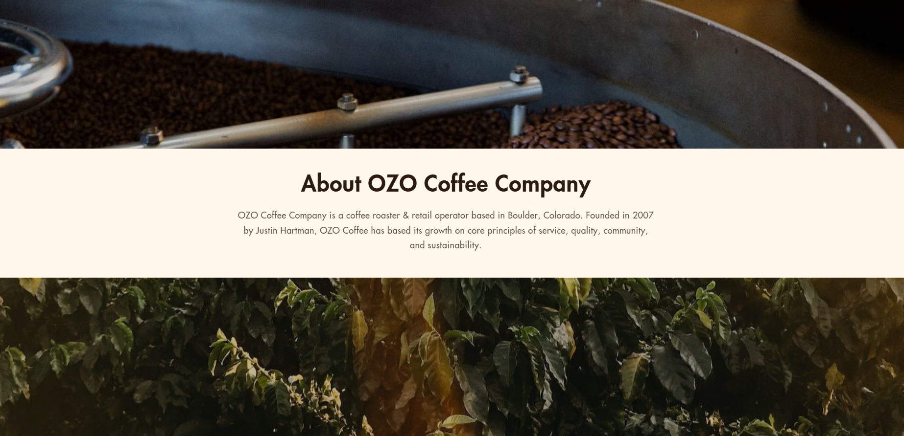A roasting drum filled with coffee beans above a text section introducing OZO Coffee Company, with coffee plants in the background.