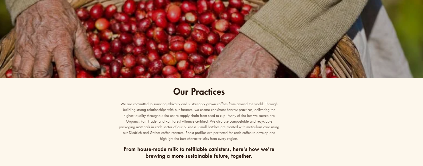 Close-up of a coffee farmer’s hands holding a large basket filled with freshly harvested red coffee cherries.