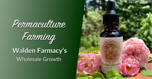 Permaculture Farming: Walden Farmacy’s Wholesale Growth