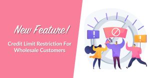 New Feature! Credit Limit Restriction For Wholesale Customers