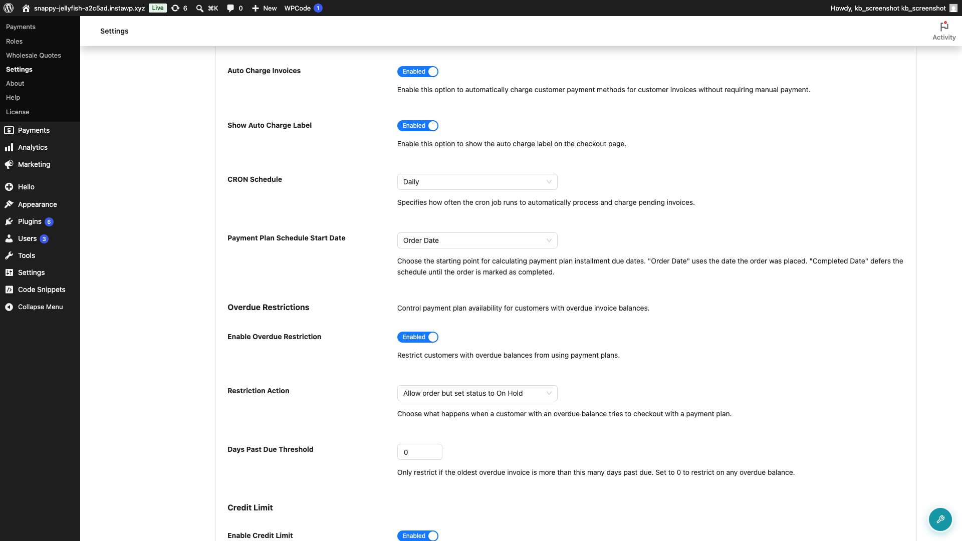 wps-auto-charge-settings - Wholesale Suite Wholesale Payments Checkout tab Checkout Settings with Auto Charge Invoices and Show Auto Charge Label enabled and the CRON Schedule