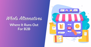 Purple gradient banner with the text 'WhoIs Alternatives' and 'Where It Runs Out For B2B' next to a colorful online store illustration on the right.